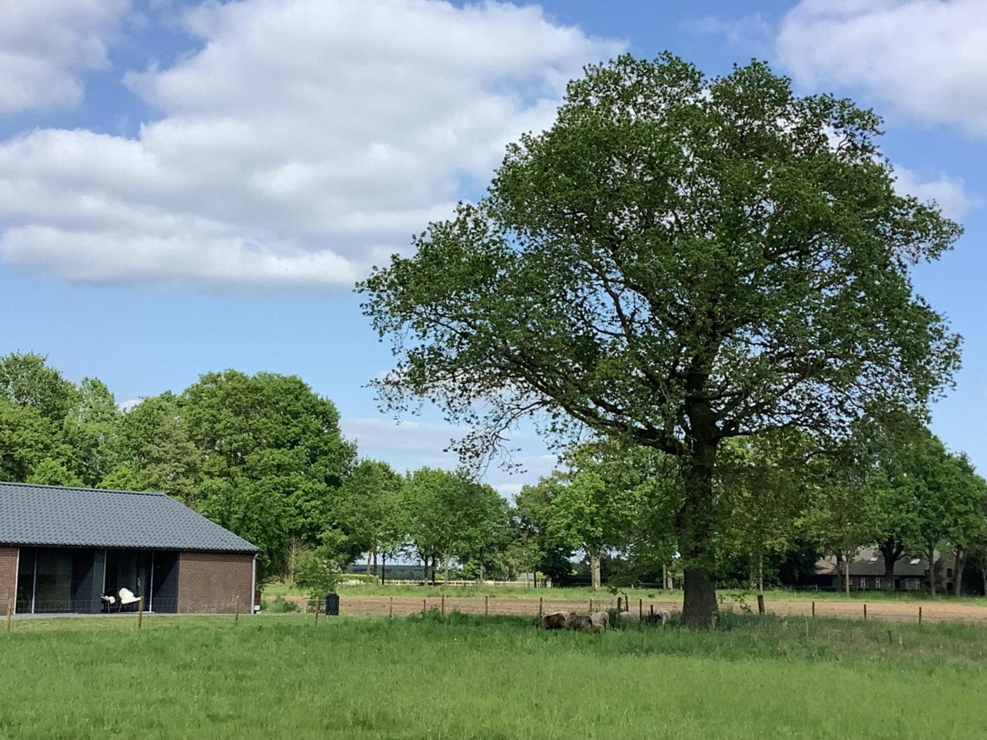 Gastenverblijf Dalem Met Hottub En Landelijk Villa Hapert Bagian luar foto