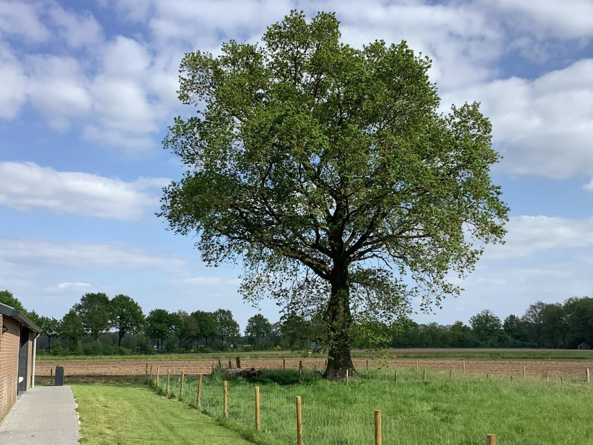 Gastenverblijf Dalem Met Hottub En Landelijk Villa Hapert Bagian luar foto